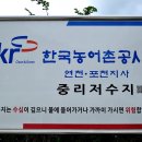 중리테마파크낚시터