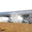 손대성축사 이미지