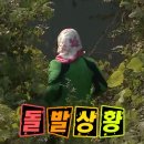 빅브레드시그니처