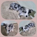 목포원광한방병원 이미지