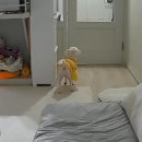 라이크몽 이미지