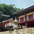 천년 행정사 이미지