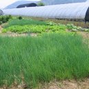 병수네농장 이미지