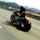 쏘냐 Daum카페