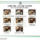 앙포레 이미지