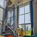 에다모니아 이미지