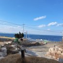 연오랑파크 풀빌라 이미지