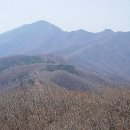 광덕상회 이미지