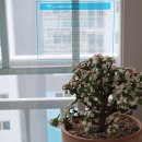 마리아유외과의원 네이버블로그