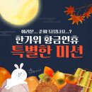 태권슐레 이미지