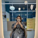 락희헤어 | 비산동 미용실 애쉬브라운 염색 추천! 손길헤어 락희원장님 염색후기