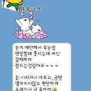 비비드아이래쉬 | 진해속눈썹연장 비비드 아이래쉬 후기좋은곳