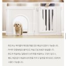 강아지집 하우스 펫룸 울타리 애견펜스 텍미홈 조립방법 내돈내산 후기