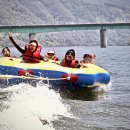 수목원레저 이미지