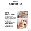 아로님의 루디빈 코지 애견미용복 애견미용가운 추천 | 찐후기
