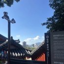 달팽이공원 네이버블로그