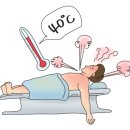 중증 열성 혈소판감소 증후군[Severe fever with thrombocytopenia syndrome(SFTS)]감염성 질환 이미지