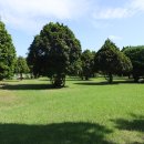 무릉도원 이미지