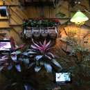 <b>24번가</b> 레스토랑-2014년 송년회