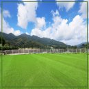 포레스트벨리 이미지