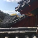 섬진강 찔레꽃 언덕 이미지