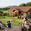 효리네 민박 | 효리네민박1·2 다시 보니 뭐가 달랐을까, 직접 파고든 후기