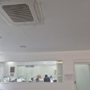 에세이디자인연구소 | 청담 웨딩밴드 청담역 웨딩거리 예물 수령 후기 오르시아 청담본점