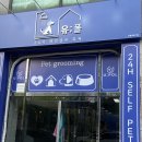 유폴24시 애견셀프목욕 이미지