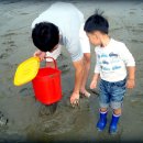 왕산 해수욕장에서 캠핑 이미지