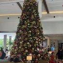 Game Duck | [필리핀세부]호캉스를 위한 두짓타니 막탄 세부 리조트 식당(선셋바) 객실 수영장 후기