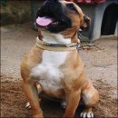 여주-0482 이미지