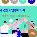 국제 VISA 행정사 이미지