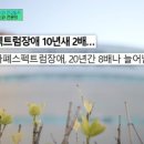 자폐 스펙트럼장애가 10년새 3~4배나 늘어난 원인 이미지