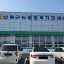 산청까망돼지