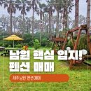 제주튼튼공인중개사사무소 이미지