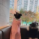 닥터장가정의학과 이미지