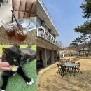 두물머리 근처 카페 추천 남양주 토끼섬카페 조용한 힐링 공간 주차