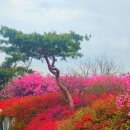 삼일여행