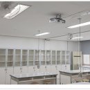 고창초등학교 이미지