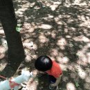 주완농장 이미지