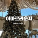 천안아산 신정호 대형베이커리 카페 ‘아마르라운지’ 솔직후기 대형트리포토존