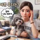 삼송데이케어 펫호텔 | 강아지 펫호텔 맡기기 전 꼭 물어볼 것 12가지, 여름휴가 준비물 정리