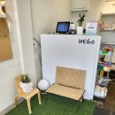 포스앤네이처 펫살롱 이미지