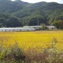화양동관광농원 이미지