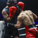 커키버팔로 복싱 클럽 이미지