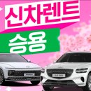 대한오토픽 이미지