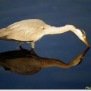 직업상담사 필기 - 노동시장론 이미지