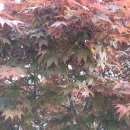 우산리산장 이미지