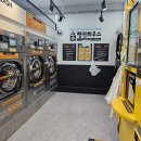 펭귄세탁 이미지