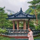 썬당구장 | 강원도 가족여행 숙소 태백호텔 수영장 조식 등 아이와 호캉스 후기